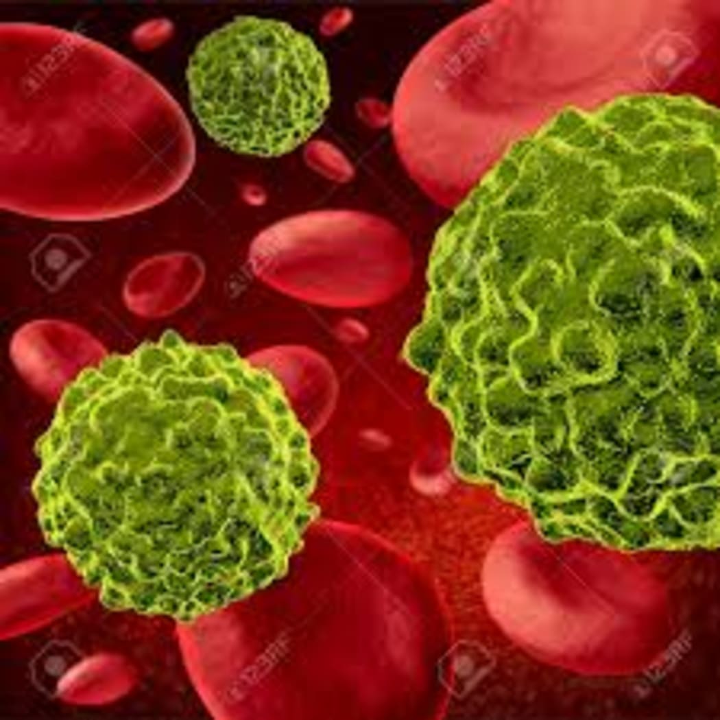 cancer cells