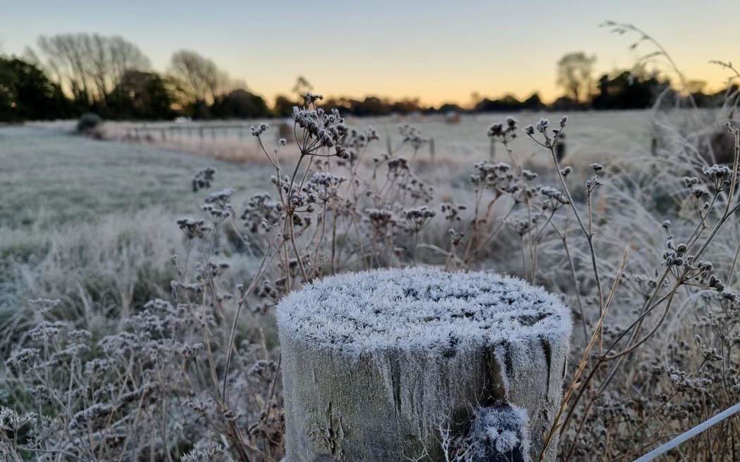 A frosty fencepost in rural Canterbury.