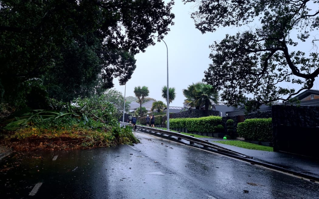 A slip on West End Road in Westmere, Auckland.