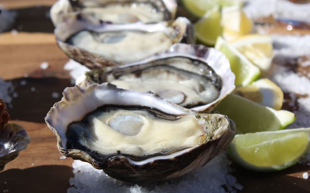 Aaron Pannell, Marlborough Oysters operation