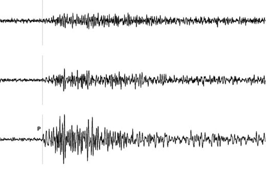 Seismic Coda