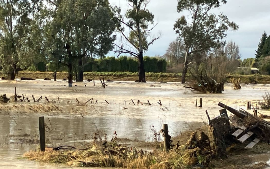 Cosmo - from his story about the Tasman Floods