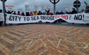 A protest of about 40 people on the City to Sea Bridge in Wellington protesting the demolishing the bridge.
