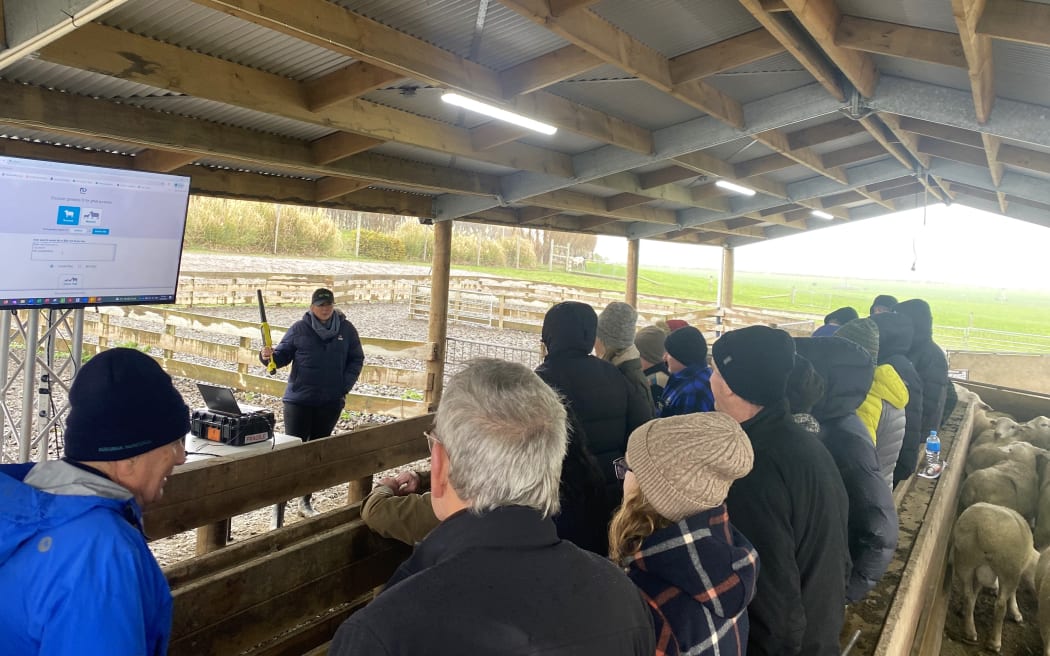 Sheep breeders forum