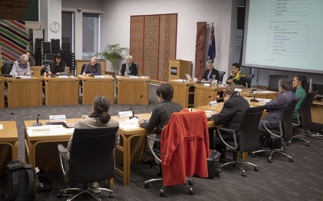 Hearing in Rotorua about possible sale of reserves for housing - single use only