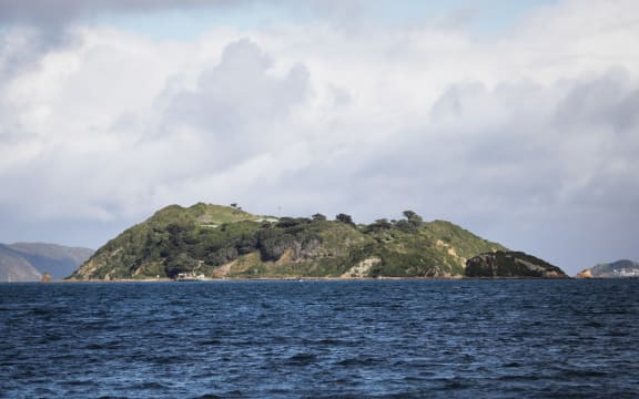 Matiu/Sommes Island, Wellington