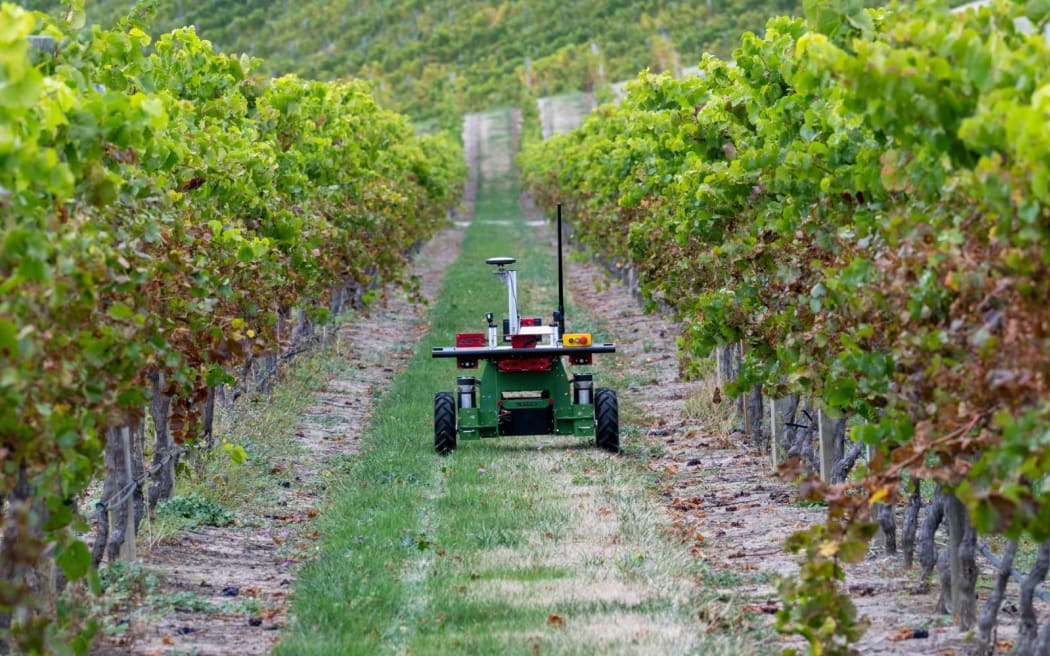 The VinEye AI grapevine disease-detecting machine.