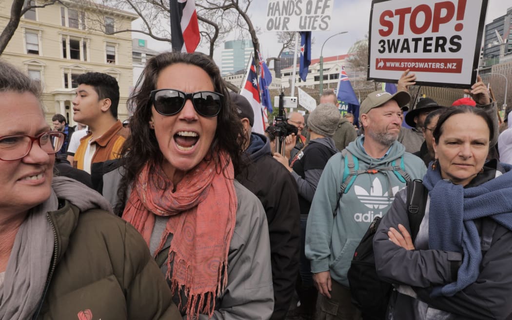 Anti-government protesters in Wellington, marching towards Parliament on 23 August 2022.