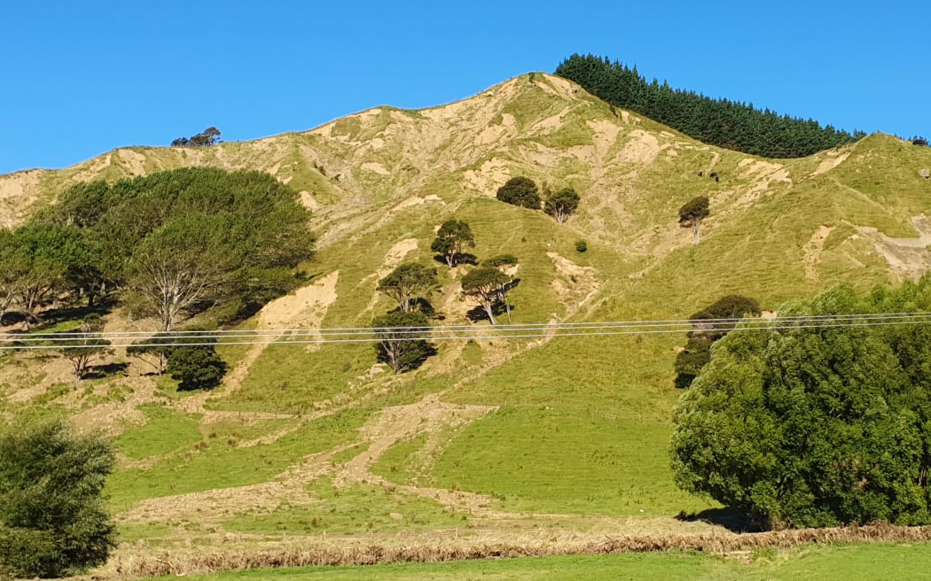 Slip-covered hills near Tīnui, close to the Wairarapa's east coast, following Cyclone Gabrielle