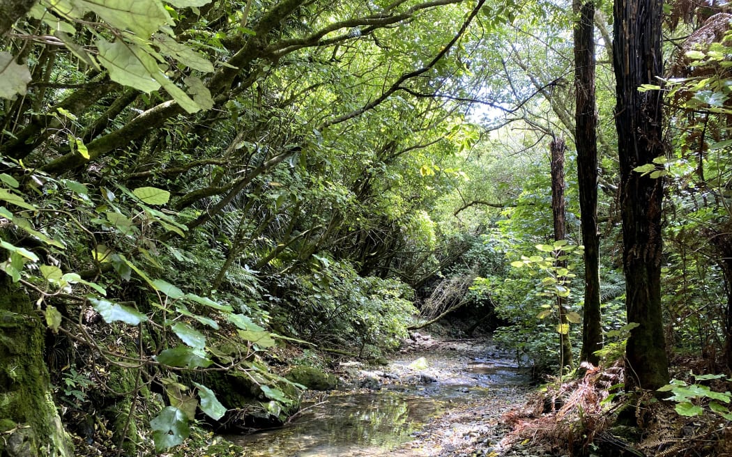 Silver Stream in Long Gully Bush Reserve.