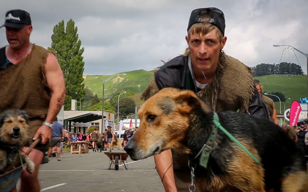 A shepherd and his Huntaway crossing the finish line at the Hunterville Shemozzle.