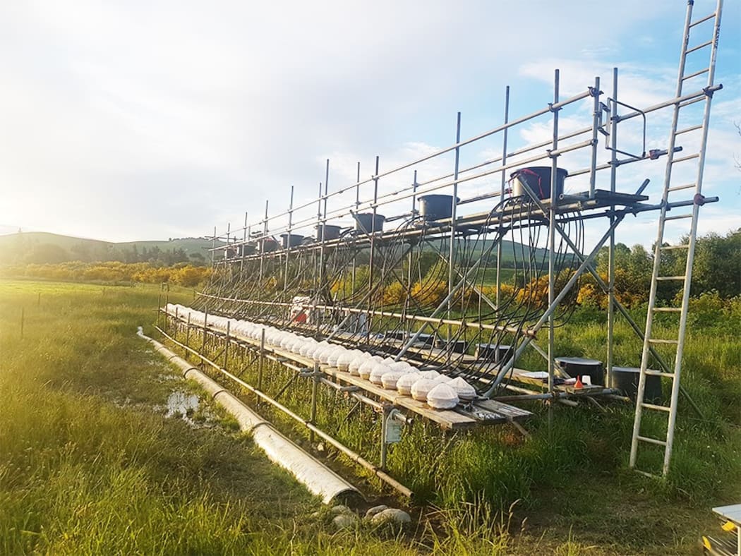 The ExStream or Experimental Stream Mesocosm System