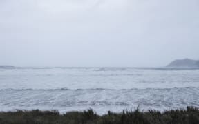 Wellington West Coast.