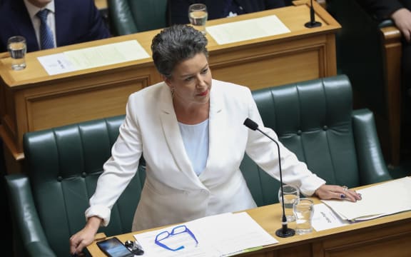 Deputy leader of the National Party Paula Bennett.