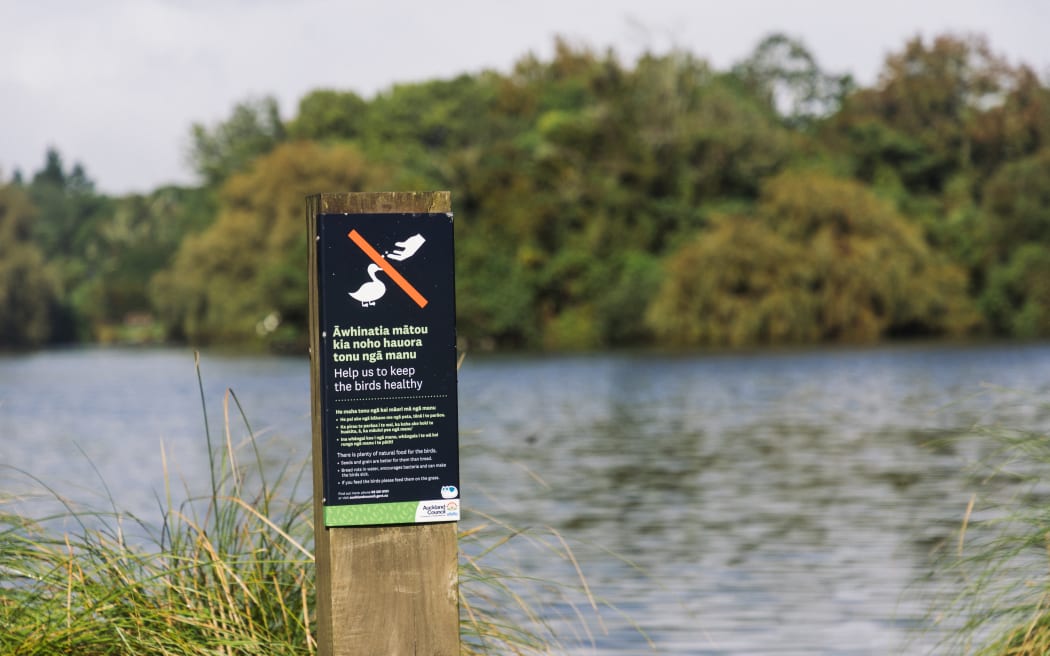 Western Springs Park, no feeding sign