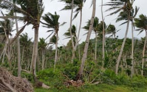 It's not a windy day but looks like it. Koro in some way is stuck on Feb 19 when Cyclone Winston hit.