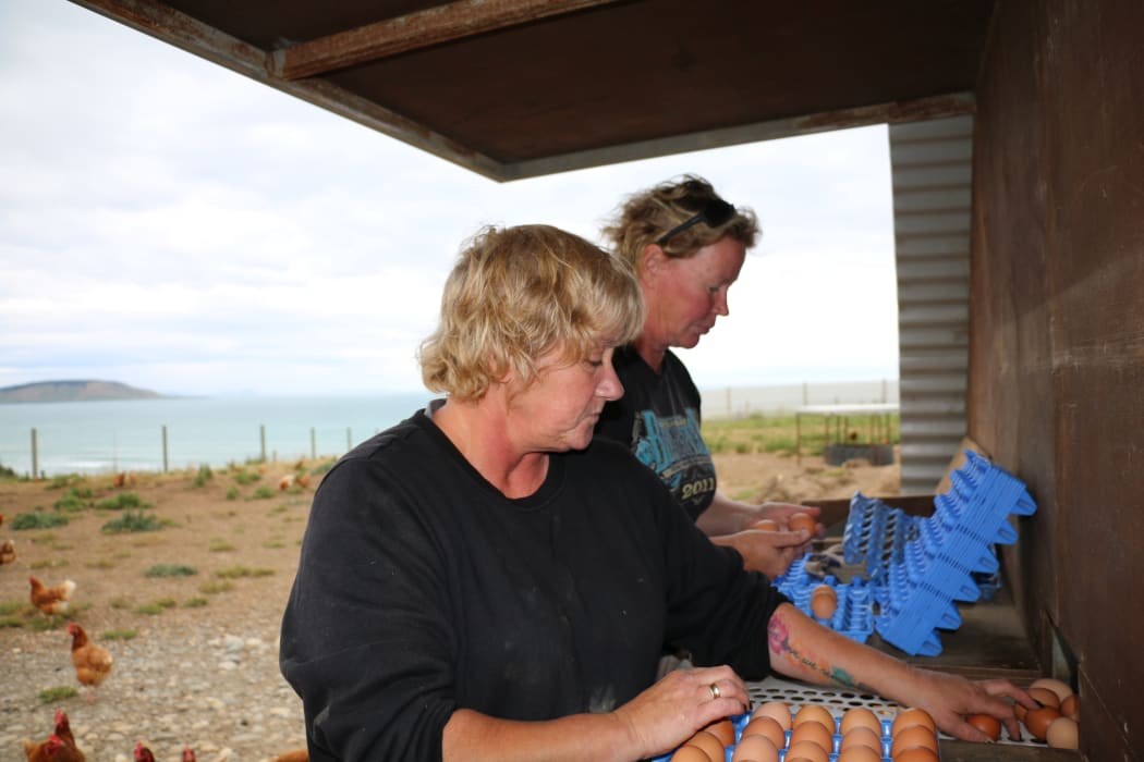 Te Waewae egg farm