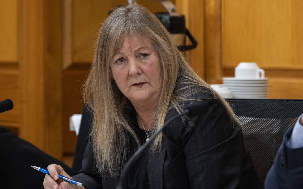 National Party MP Penny Simmonds in select committee.