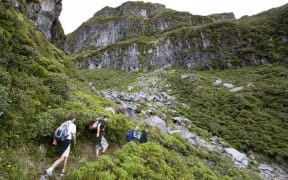 Walking along the Holly Hut Track - Taranaki
