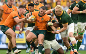 BRISBANE, AUSTRALIA - AUGUST 10: Dylan Pietsch of the Wallabies is tackled during The Rugby Championship match between Australia Wallabies and South Africa Springboks at Suncorp Stadium on August 10, 2024 in Brisbane, Australia. (Photo by Matt Roberts/Getty Images)