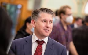 Labour MP Michael Wood