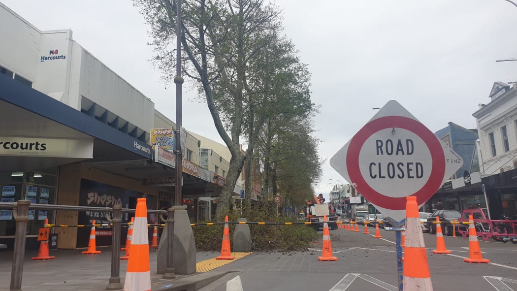 Crews trim trees along Devon Street.