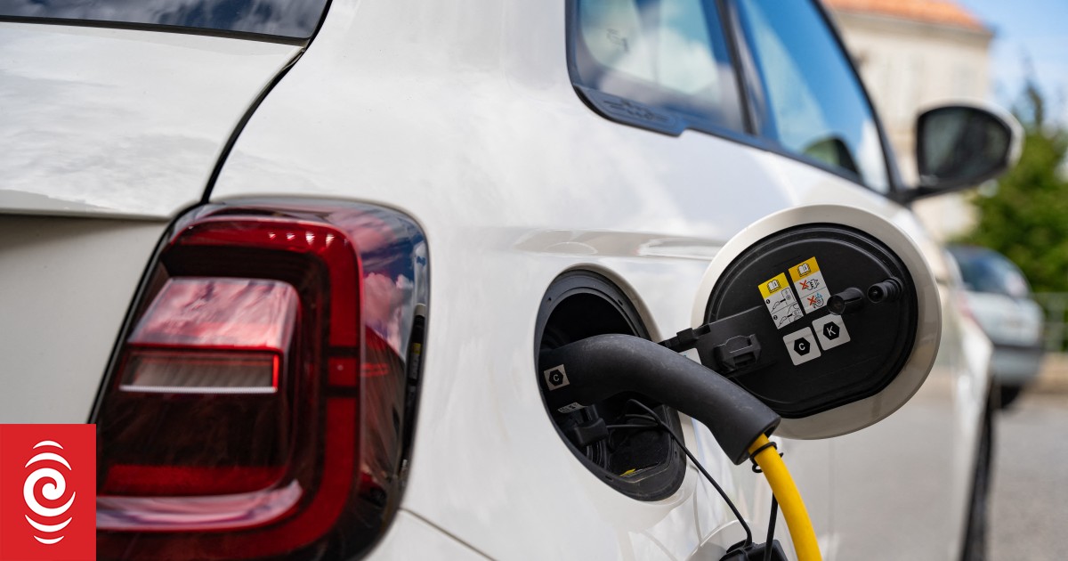 The EV slowdown: How government decisions changed the road ahead