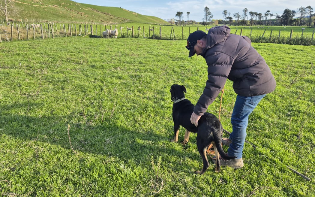 A little bit of reassurance goes a long way when it comes to dog training.