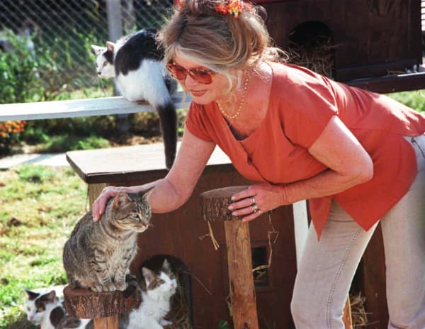 l'ancienne actrice Brigitte Bardot caresse un chat européen, dans la chatterie du refuge pour animaux "La Mare Auzou", de sa fondation, qui organisait une journée d'adoption, le 05 octobre à Saint-Aubain-Le-Guichard.