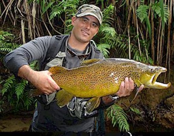 Trout