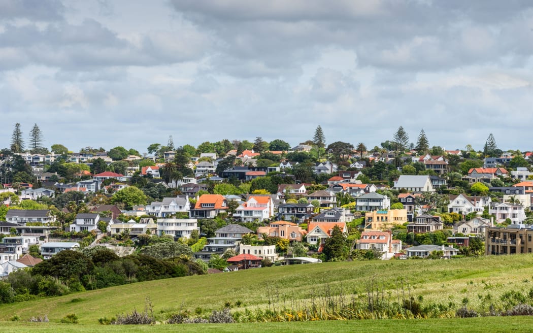 auckland housing