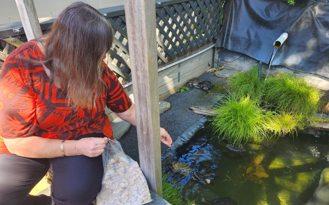 Donna Moot with turtle