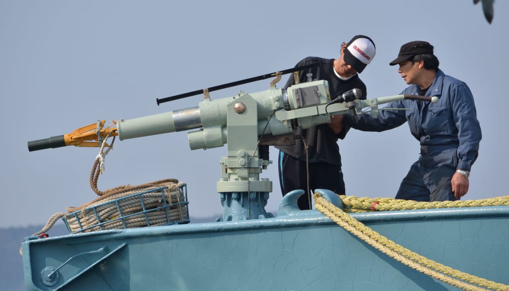 Japan whaling