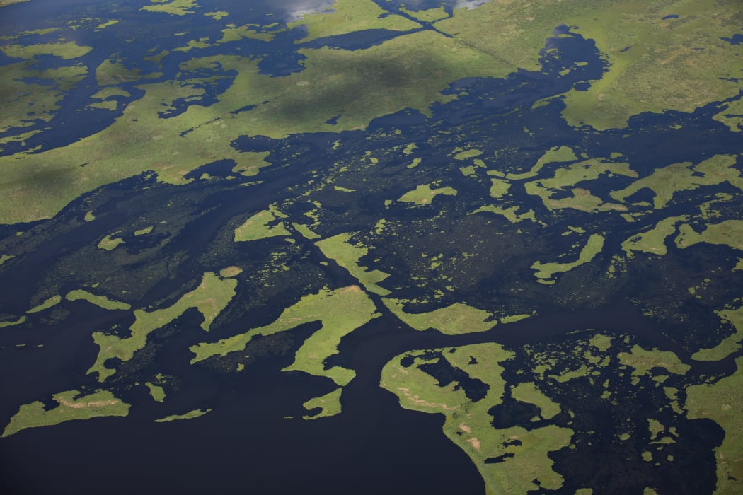 Coastal waters flow through deteriorating wetlands in August, 2019 in Plaquemines Parish, Louisiana. According to the National Oceanic and Atmospheric Administration, Louisiana's combination of rising waters and sinking land give it one of the highest rates relative sea level rise on the planet.