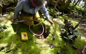 Ornithologist Kerry Jayne Wilson