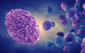 Monkeypox virus particles, illustration. Monkeypox is a zoonotic virus from the Poxviridae family that causes monkeypox, a pox-like disease. At the centre of the monkeypox virus is a core nucleoprotein that contains the DNA (deoxyribonucleic acid) genome. This is surrounded by an outer envelope that is covered with surface tubules. This virus, which is found near rainforests in Central and West Africa causes disease in humans and monkeys, although its natural hosts are rodents. It is capable of human to human transmission. In humans it causes fever, swollen glands and a rash of fluid-filled blisters.