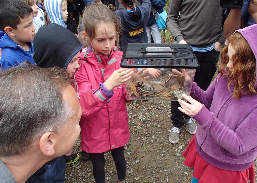 Two girls holding a spotted skink in a small box with people looking on