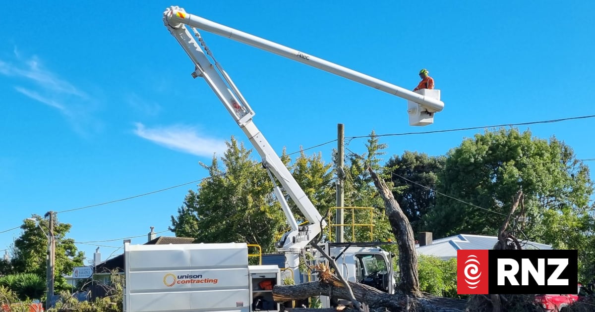 Call to review regulations to prevent trees toppling powerlines | RNZ