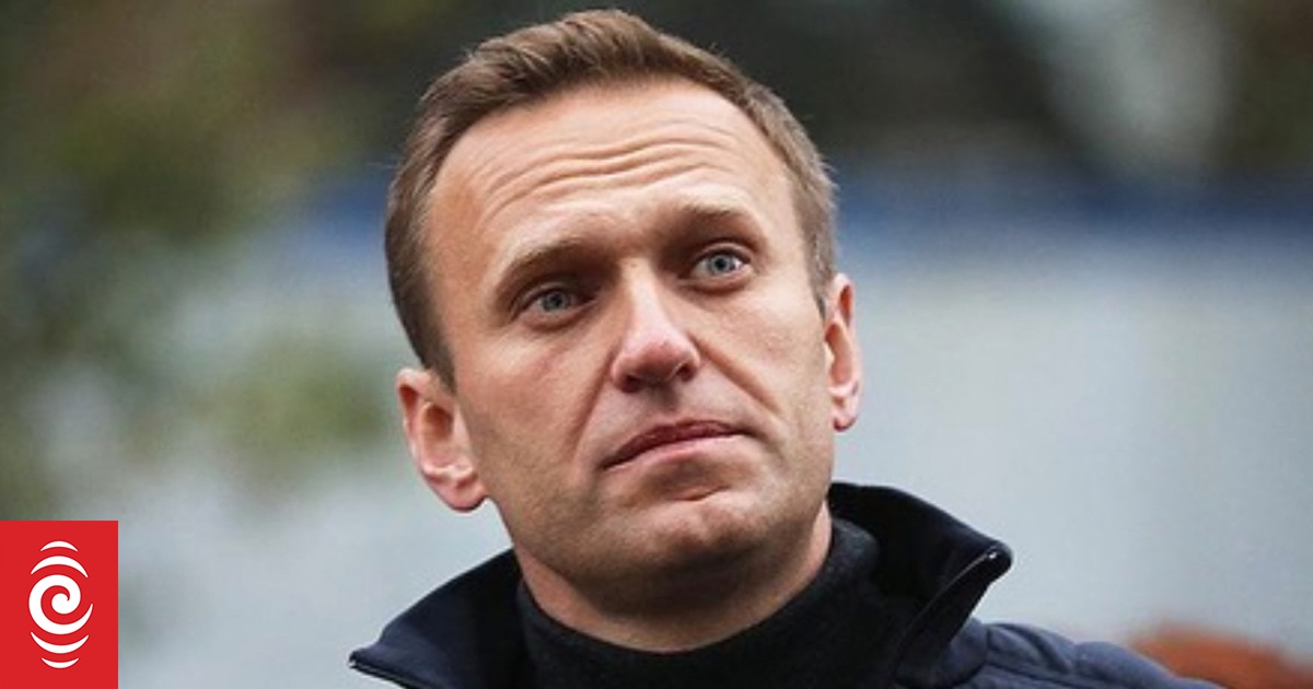 Russia's Navalny tracked down to 'Polar Wolf' prison in the Arctic ...