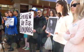 Animal rights protestors rally in Wellington.