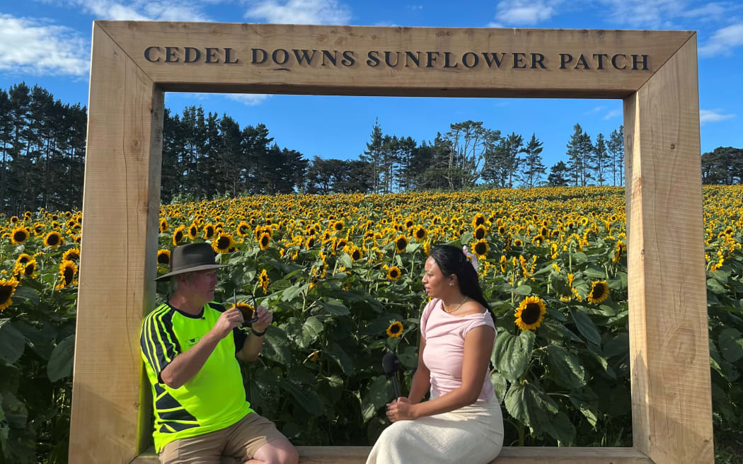 Chris Flaunty (L) at Cedel Downs Sunflower Patch.