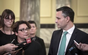 Metiria Turei resigns as Green Party co-leader