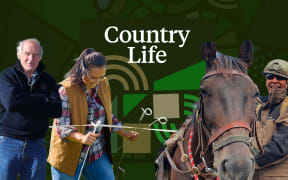 Summer Series: Country Life 6 January