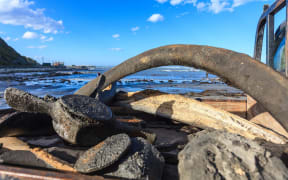 Heavy rain has uncovered a pile of whale bones on the Kaikōura peninsula.