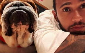 Hamilton told his 40.9 million followers on Instagram, where the bulldog had a following of 1.4 million.