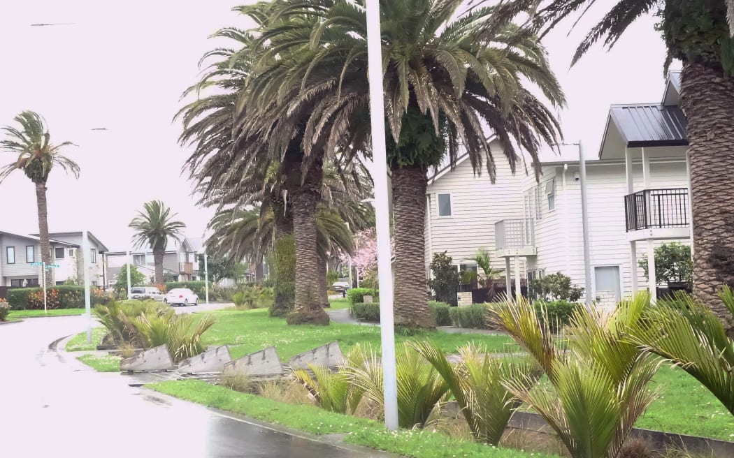 A swale running along a street at Hobsonville Point, collects run-off and filters water.