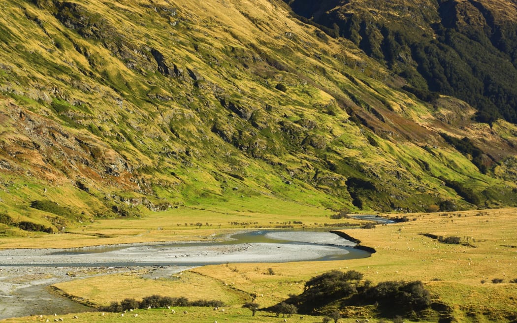 Mt Aspiring National Park