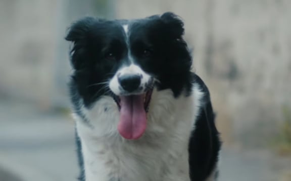 Still from 'Your Mind's Walking Out'