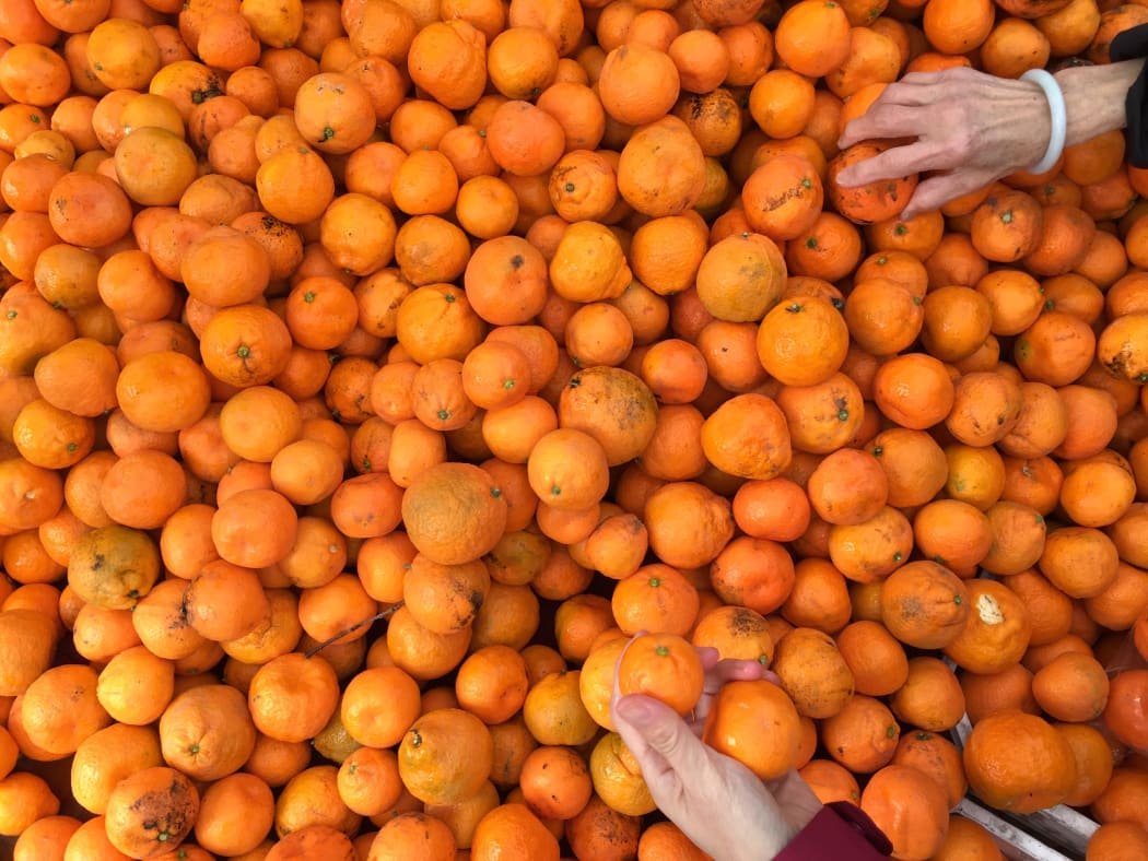 Citrus anyone?