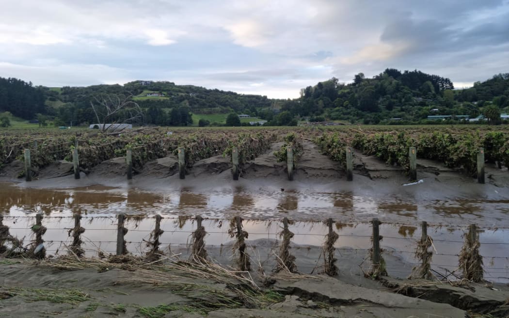Mud and silt left behind at an Esk Valley property in Hawke's Bay on 17 February 2023 after Cyclone Gabrielle passed through.